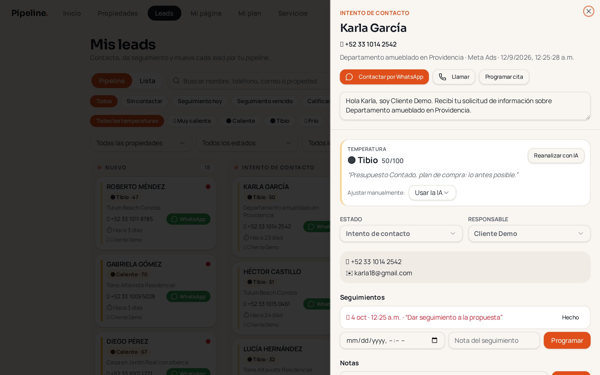 Ficha de cada lead